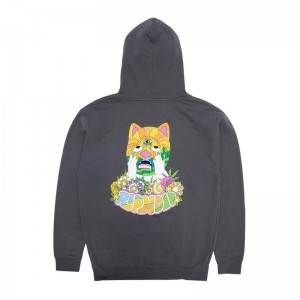 Bluza z Kapturem Ripndip Pretty Sad Szare | PLG3168S