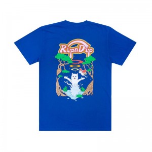 Koszule Ripndip Down By The River Królewski Niebieski Niebieskie | PLA2977H