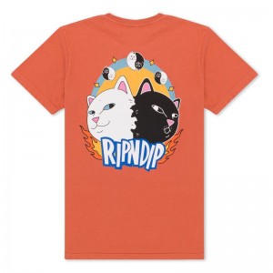 Koszule Ripndip Morph Pomarańczowe | PLZ2845U