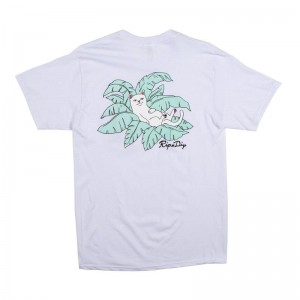 Koszule Ripndip Nermal Leaf Pocket Białe | PLV2990R