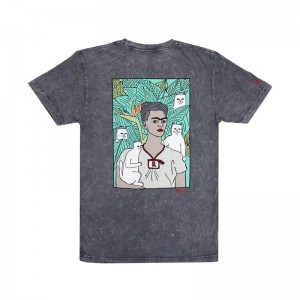 Koszule Ripndip Nermal Portrait Szare Niebieskie | PLF2928D