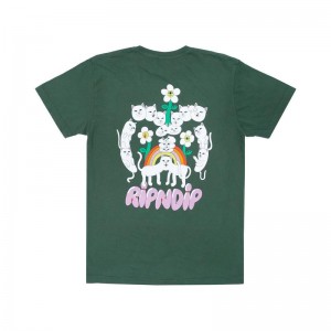 Koszule Ripndip Nerms Of A Feather Pocket Oliwkowe | PLS2979G