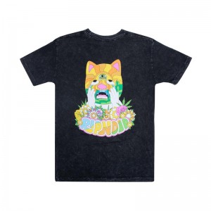 Koszule Ripndip Pretty Sad Czarne Niebieskie | PLR2873V