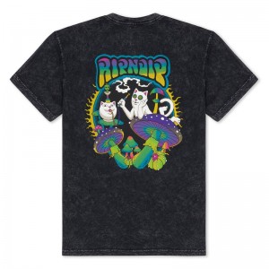 Koszule Ripndip Psychedelic Garden Czarne Niebieskie | PLR2828V