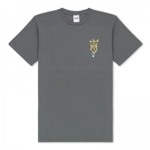Koszule Ripndip RIPNLIT Szare | PLY2830X