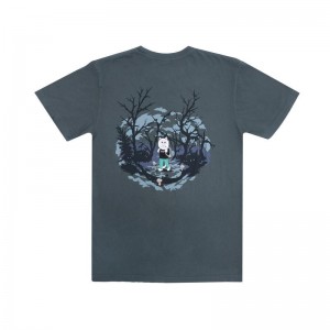 Koszule Ripndip Scary Hours Szare | PLK2887O