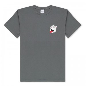 Koszule Ripndip Spiraling Szare | PLH2841A