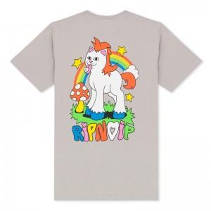 Koszule Ripndip Taste The Rainbow Szare | PLC2847T