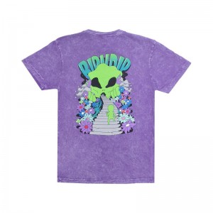 Koszule Ripndip The Unknown Fioletowe Niebieskie | PLZ2889U