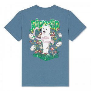Koszule Ripndip Time Turner Niebieskie | PLL2844I