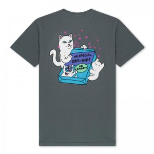 Koszule Ripndip Ur Special Cat Nip Szare | PLH2859A