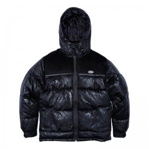Kurtki Ripndip Griffith Zakapturzony Puffer Czarne | PLT3113C